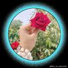 user9582112021553