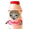 yakult_imupssssss_