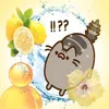 _ooff_6