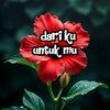 dariku.untukmu5