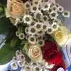 selina_5827