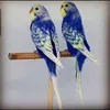 محميه طيور الزينه