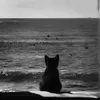 zahraa_ahmed269