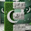 wahabgondal7867