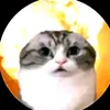tika.popa8