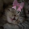 juicymamy432
