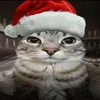 dexter_editz123