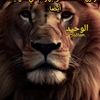 nader.king13