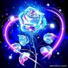 nssren38