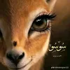 soso.mohamed8123