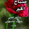 hassannameer