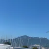realthegui