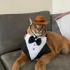 vladik_klyt