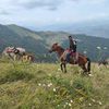 asif.mmmdov67