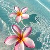 salma._979