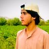 shahzad290s0