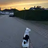 _manja_0