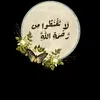 user4074888252634