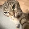 jonii_st