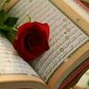 hanan.hessen55