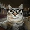Professor Kitty