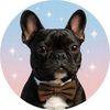 aspenthefrenchie7