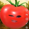 nabilq.kz