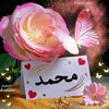 user5572997942618