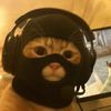 _jerry_578