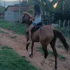 mailanasalespereira0