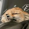 penghuni.bumi_17