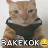 rizki.epep90