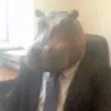 النسناس