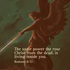 jesus_is_king1072