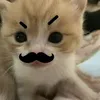 hwehehsha