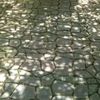 user4944611867617