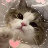 jenniekp1304_