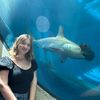 sharkloverashley