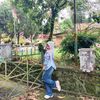 anistiaa2