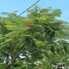 vn.to2246