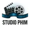 STUDIO FIM