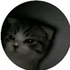 user2921971007366
