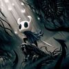 hollow.knight7094