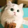 Má lúm💕