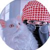 sabiya.islam029