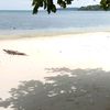 ali.daeng.manampa