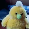 euzaee