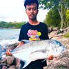 k.dimas_apriyanto