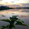 devanseliwan0