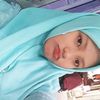 arinamayang_fauna